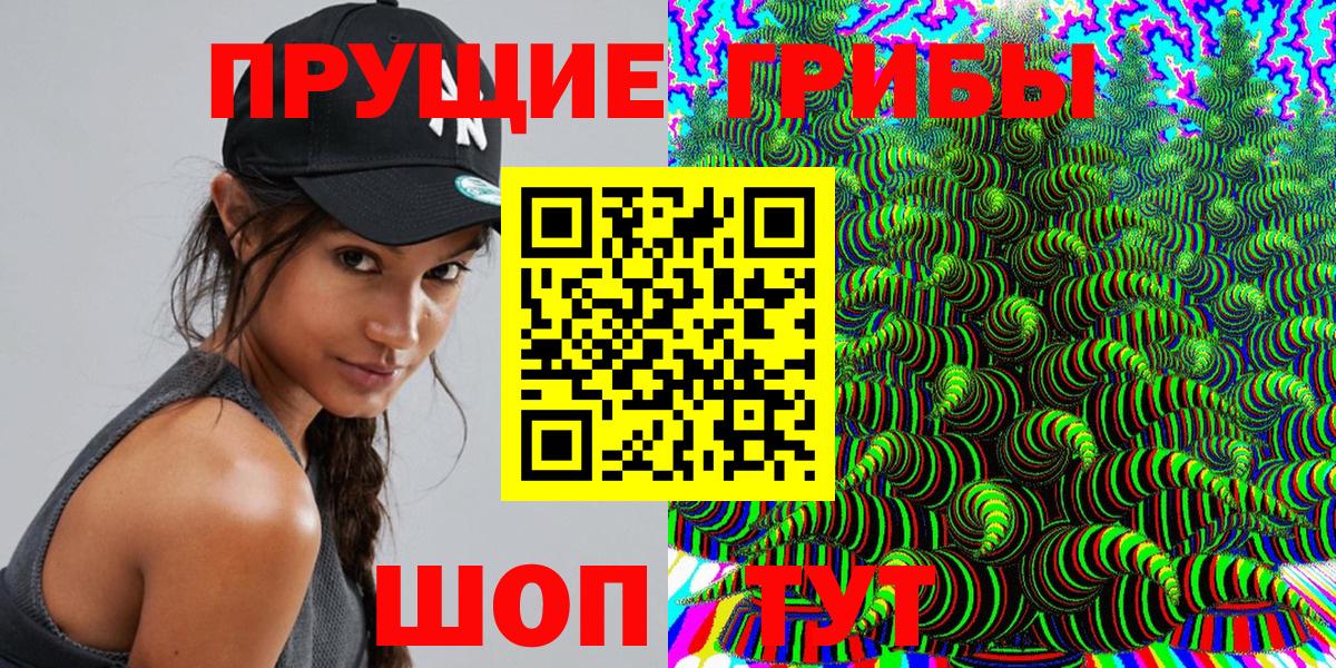 Псилоцибиновые грибы Psilocybine cubensis Краснокаменск